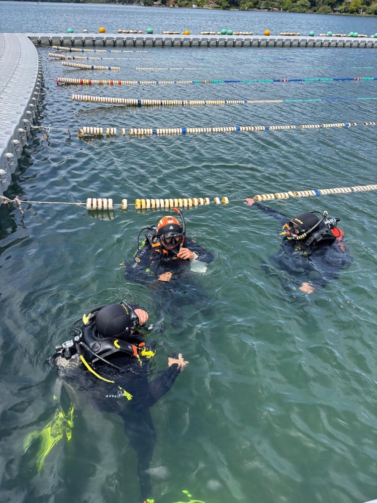 Buzos de Anguila Buceo en bote frente a roca con lobos marinos, Concepción